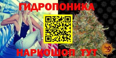мдма Заводоуковск