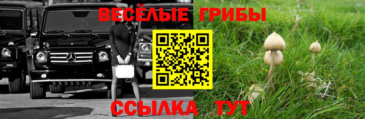 Галлюциногенные грибы мицелий Лесосибирск