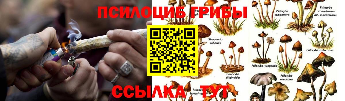 Галлюциногенные грибы Magic Shrooms  где купить наркотик  Лесосибирск  Вход с VPN 